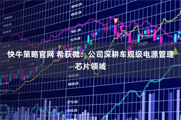 快牛策略官网 希荻微：公司深耕车规级电源管理芯片领域